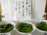 玄関に並べられ
